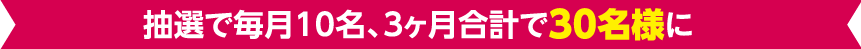 抽選で毎月10名、3か月合計で30名様に